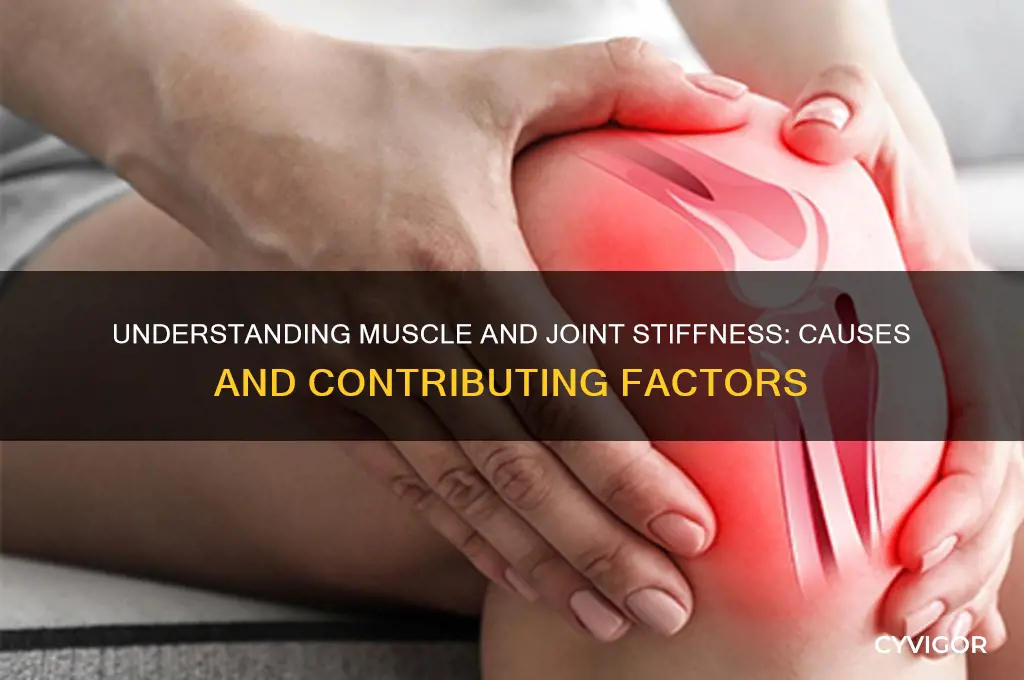 what causes muscle andjoint stiffness