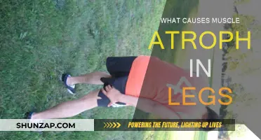 Understanding Leg Muscle Atrophy: Causes and Mechanisms