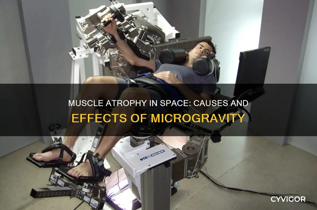 what causes muscle atrophy in space