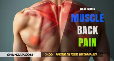 Understanding Muscle Back Pain: Common Causes and Triggers Explained