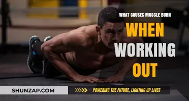 Understanding Muscle Burn: Causes and Science Behind Workout Fatigue