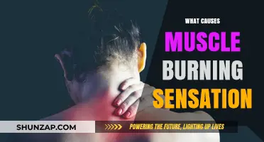 Understanding Muscle Burning Sensation: Causes and Contributing Factors Explained