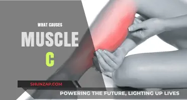 Understanding Muscle Cramps: Causes, Prevention, and Effective Relief Strategies