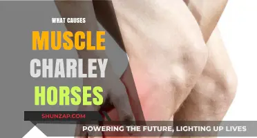 Understanding Muscle Charley Horses: Causes and Prevention Tips