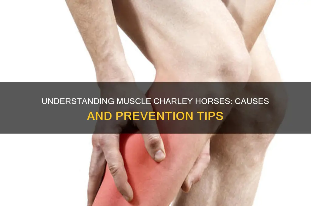what causes muscle charley horses