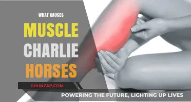 Unraveling the Mystery: What Triggers Painful Muscle Charlie Horses