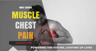 Understanding Chest Muscle Pain: Common Causes and When to Seek Help