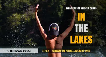 Unraveling the Mystery: Causes of Muscle Chills in Lakes