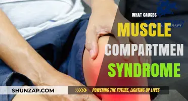 Understanding Muscle Compartment Syndrome: Causes, Risks, and Prevention Tips