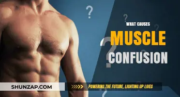 Understanding Muscle Confusion: Causes and Benefits for Fitness Progress