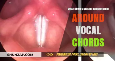 Understanding Muscle Constriction Around Vocal Chords: Causes and Effects