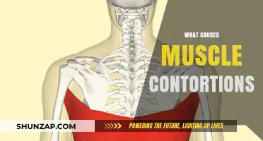 Understanding Muscle Contortions: Causes, Triggers, and Underlying Factors Explained