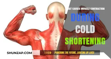 Cold Shortening Explained: Unraveling the Causes of Muscle Contraction