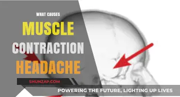 Understanding Muscle Contraction Headaches: Causes and Triggers Explained