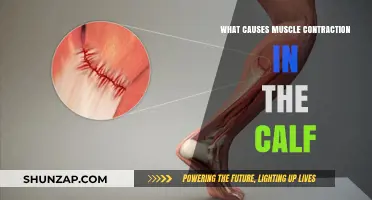Understanding Calf Muscle Contractions: Causes and Mechanisms Explained