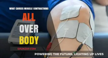 Understanding Full-Body Muscle Contractions: Causes and Triggers Explained