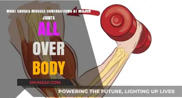Unraveling the Causes of Widespread Muscle Contractions at Major Joints