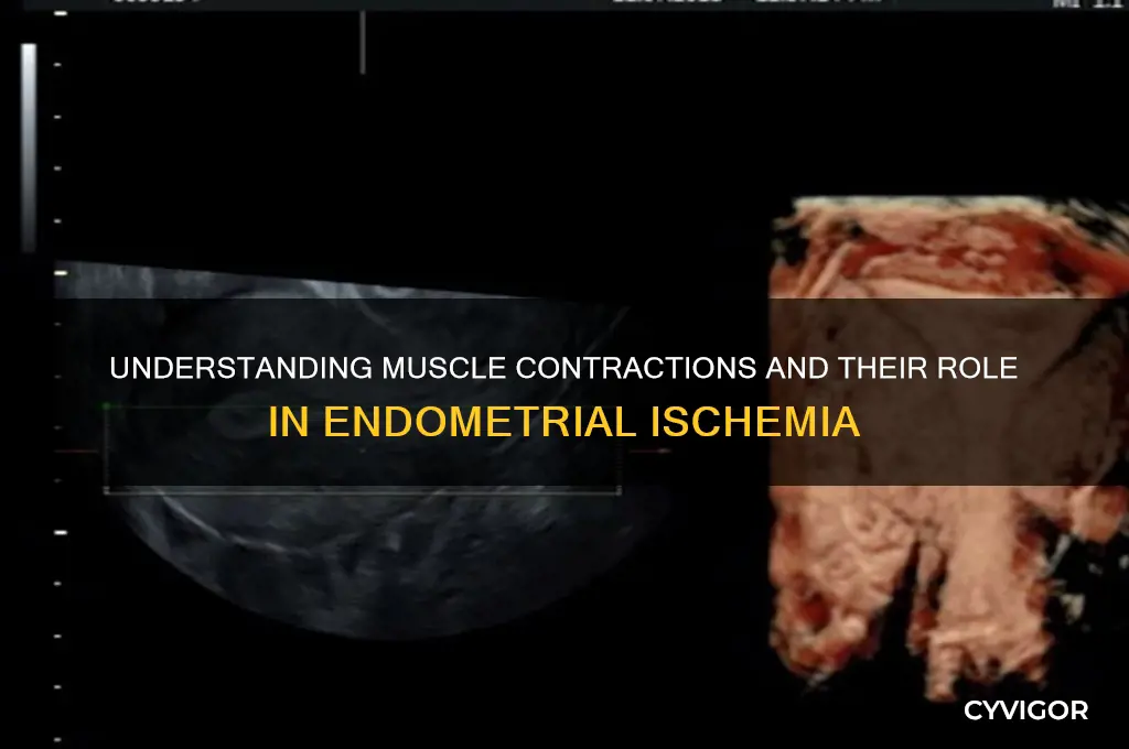 what causes muscle contractions producing endometrial ischemia