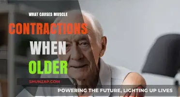 Aging Muscles: Unraveling the Causes of Contractions in Seniors