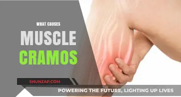 Unraveling Muscle Cramps: Causes, Triggers, and Prevention Strategies