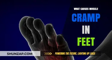 Understanding Foot Muscle Cramps: Causes and Prevention Tips