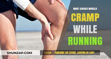 Understanding Muscle Cramps: Causes and Prevention During Running