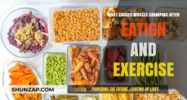 Understanding Post-Meal Workout Muscle Cramps: Causes and Prevention Tips