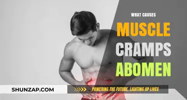 Understanding Abdominal Muscle Cramps: Causes and Prevention Tips