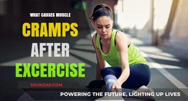 Understanding Post-Workout Muscle Cramps: Causes and Prevention Tips