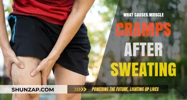 Sweat and Spasms: Unraveling the Causes of Post-Sweat Muscle Cramps