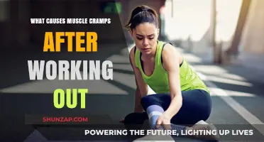 Understanding Post-Workout Muscle Cramps: Causes and Prevention Strategies