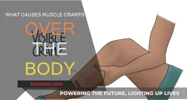 Understanding Muscle Cramps: Causes and Prevention