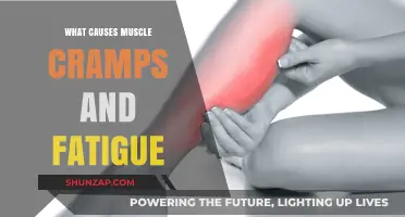Unraveling Muscle Cramps and Fatigue: Common Causes and Solutions