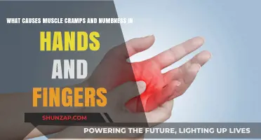 Understanding Muscle Cramps and Numbness in Hands and Fingers: Causes Explained