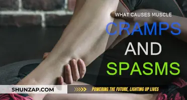 Understanding Muscle Cramps and Spasms: Causes and Triggers