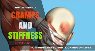 Unraveling Muscle Cramps and Stiffness: Causes and Prevention Tips