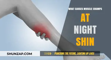 Why Do Shin Muscle Cramps Happen at Night? Causes Explained