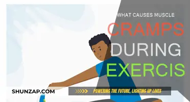 Understanding Muscle Cramps: Exercise-Induced Spasms Explained