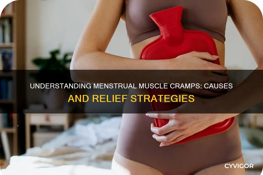 what causes muscle cramps during menstruation