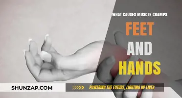 Understanding Muscle Cramps: Causes in Feet and Hands Explained