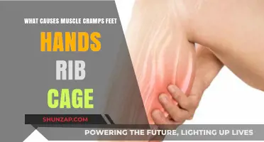 Understanding Muscle Cramps: Causes in Feet, Hands, and Rib Cage