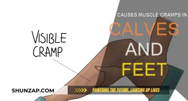 Understanding Muscle Cramps in Calves and Feet