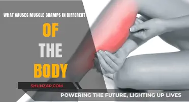 Unraveling Muscle Cramp Causes: Understanding Body-Wide Pain Triggers