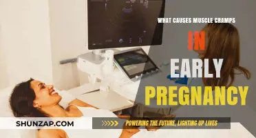 Early Pregnancy Muscle Cramps: Causes and Relief Explained