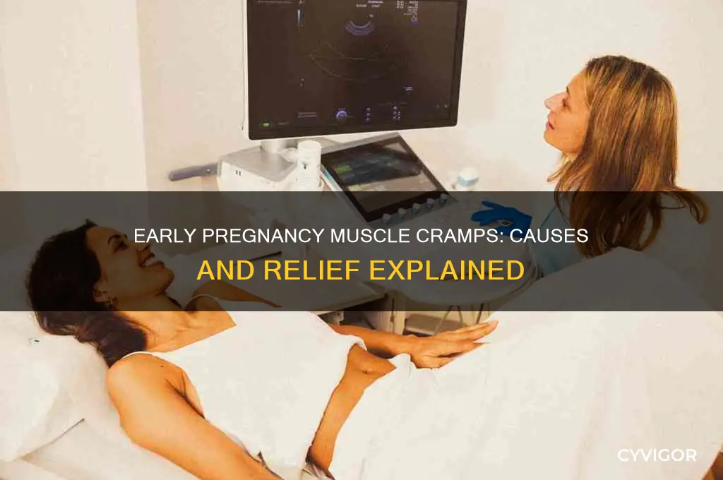 what causes muscle cramps in early pregnancy