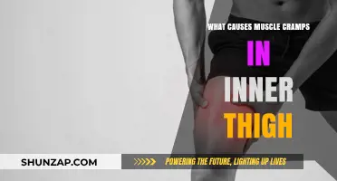 Understanding Inner Thigh Muscle Cramps: Causes and Prevention Tips