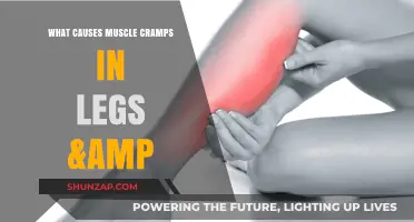 Understanding Leg Muscle Cramps: Causes, Prevention, and Relief Strategies