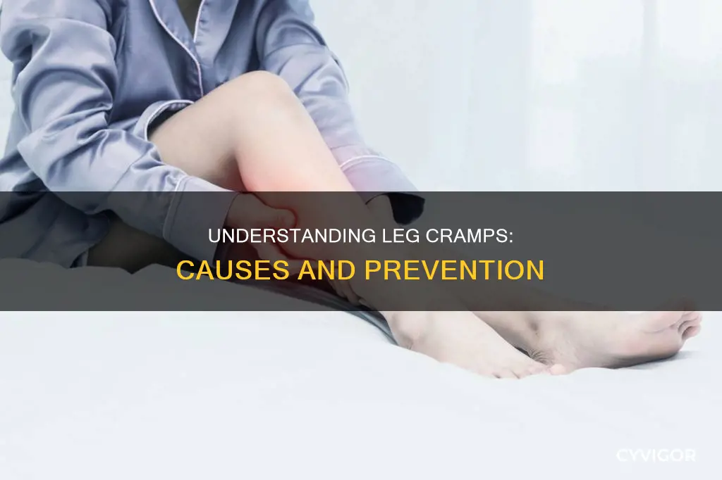 what causes muscle cramps in lower legs and feet