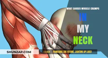 Understanding Neck Muscle Cramps: Causes and Effective Relief Strategies