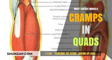 Understanding Quad Muscle Cramps: Causes and Prevention Strategies